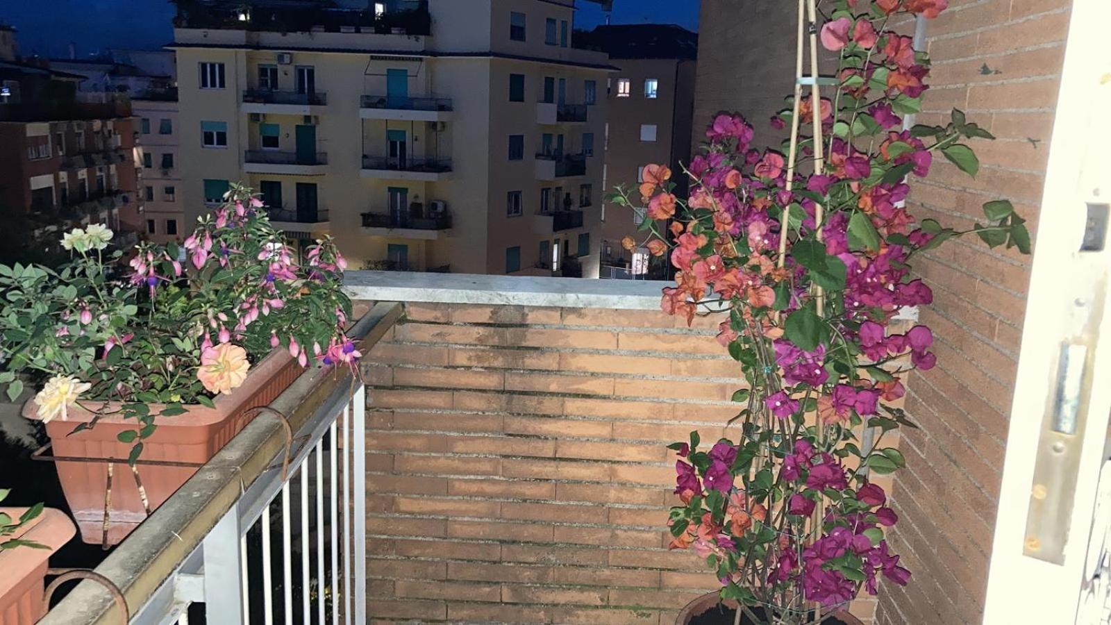 Le Mille E Una Notte — Photos 1
